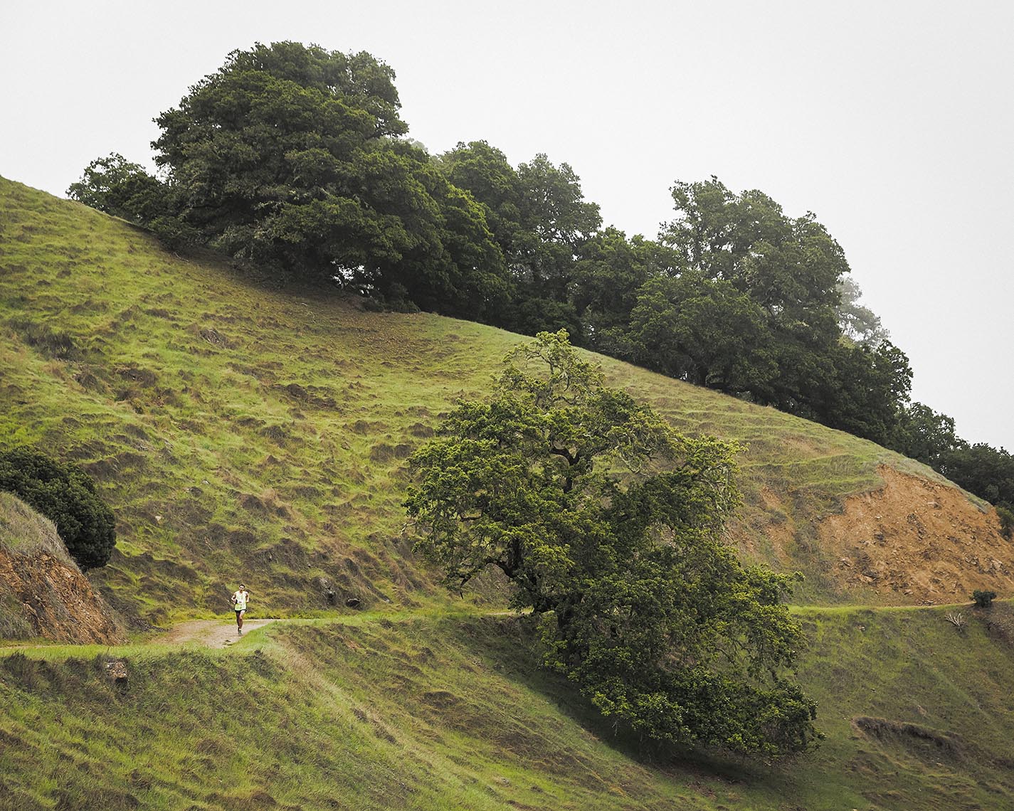 Nike Trail Running_Dan Root Photography_Sonoma 50_15